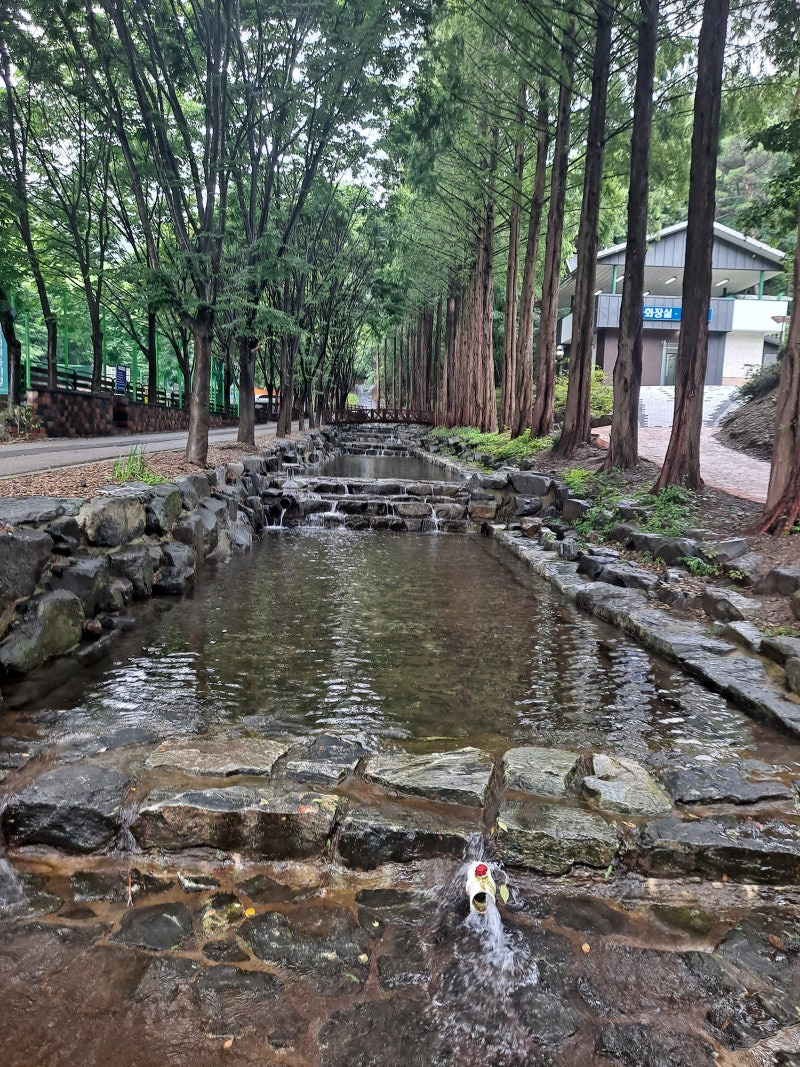 칠갑산 자연휴양림 물놀이