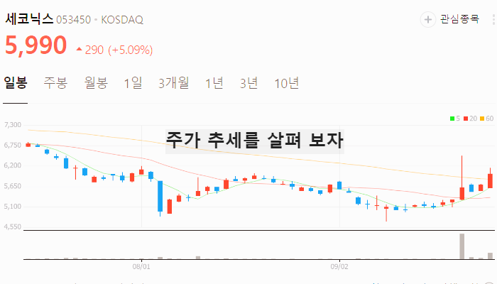 SDV 관련주 대장주 테마주 TOP7 : 커넥티드카