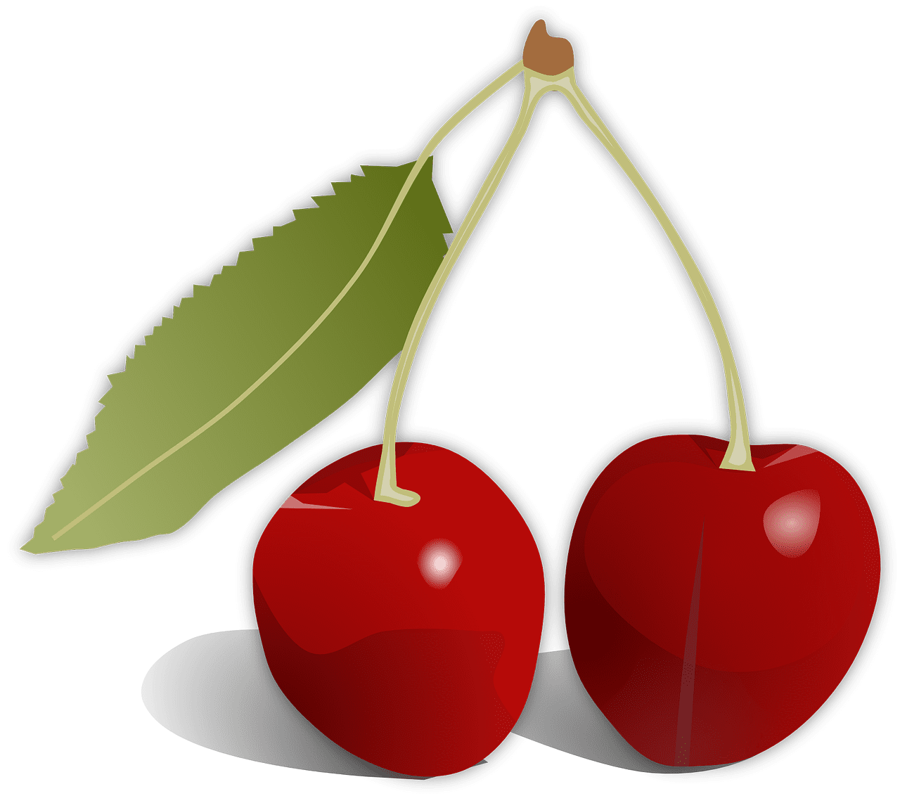 앵두청 만들기 효능 담그는법 황금레시피 보관 방법