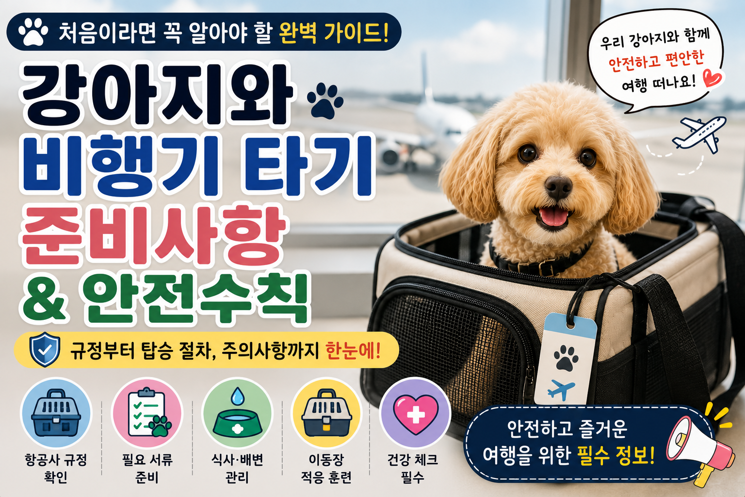 강아지와 비행기 타기|처음이라면 꼭 알아야 할 준비사항과 안전수칙