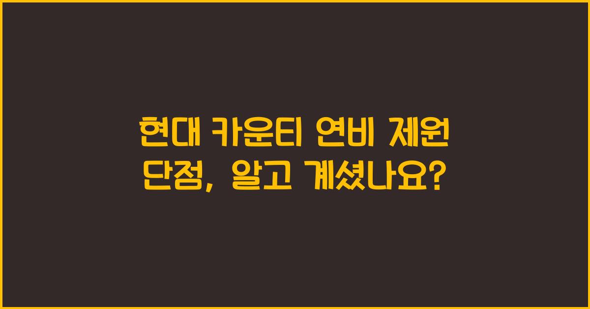 현대 카운티 연비 제원 단점