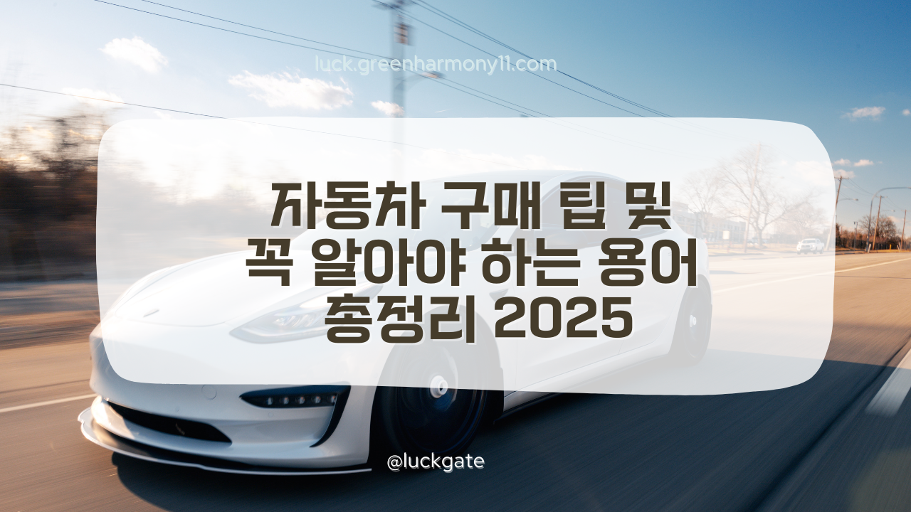 자동차 구매 팁
