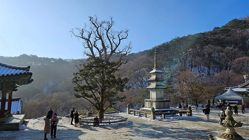 양평 용문사 : 천년의 숨결을 간직하고 은행나무 아래서 찾는 마음의 휴식과 여유가 있는곳