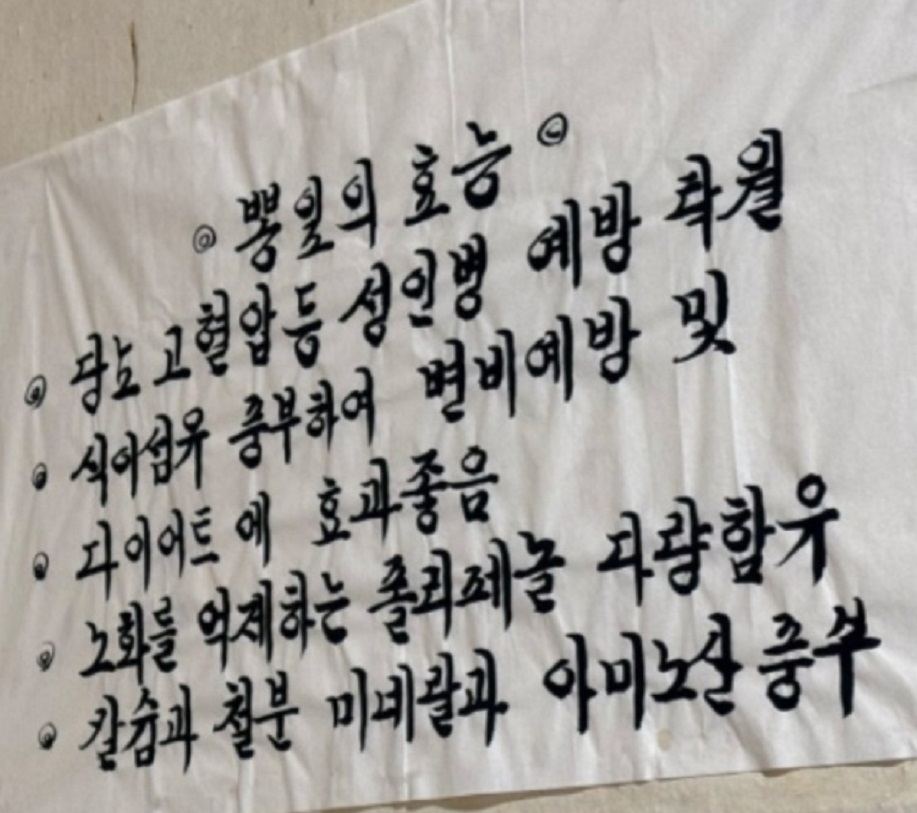 뽕잎의효능