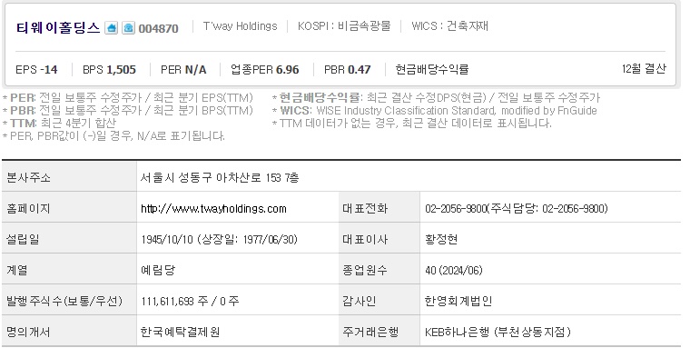 티웨이홀딩스 기업개요