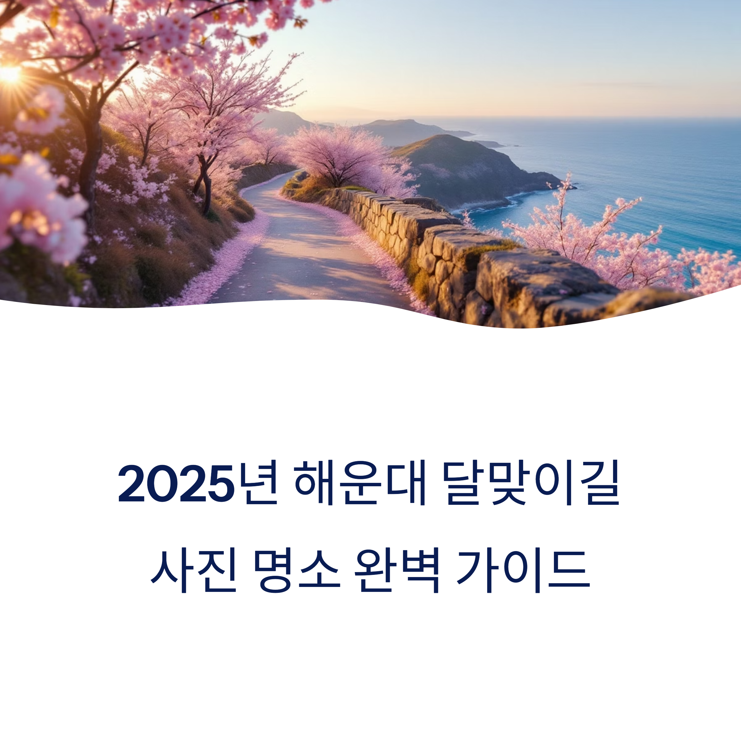 해운대 달맞이길 풍경