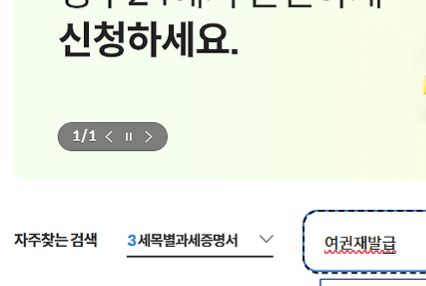 여권 재발급 온라인 신청 방법 서류 비용