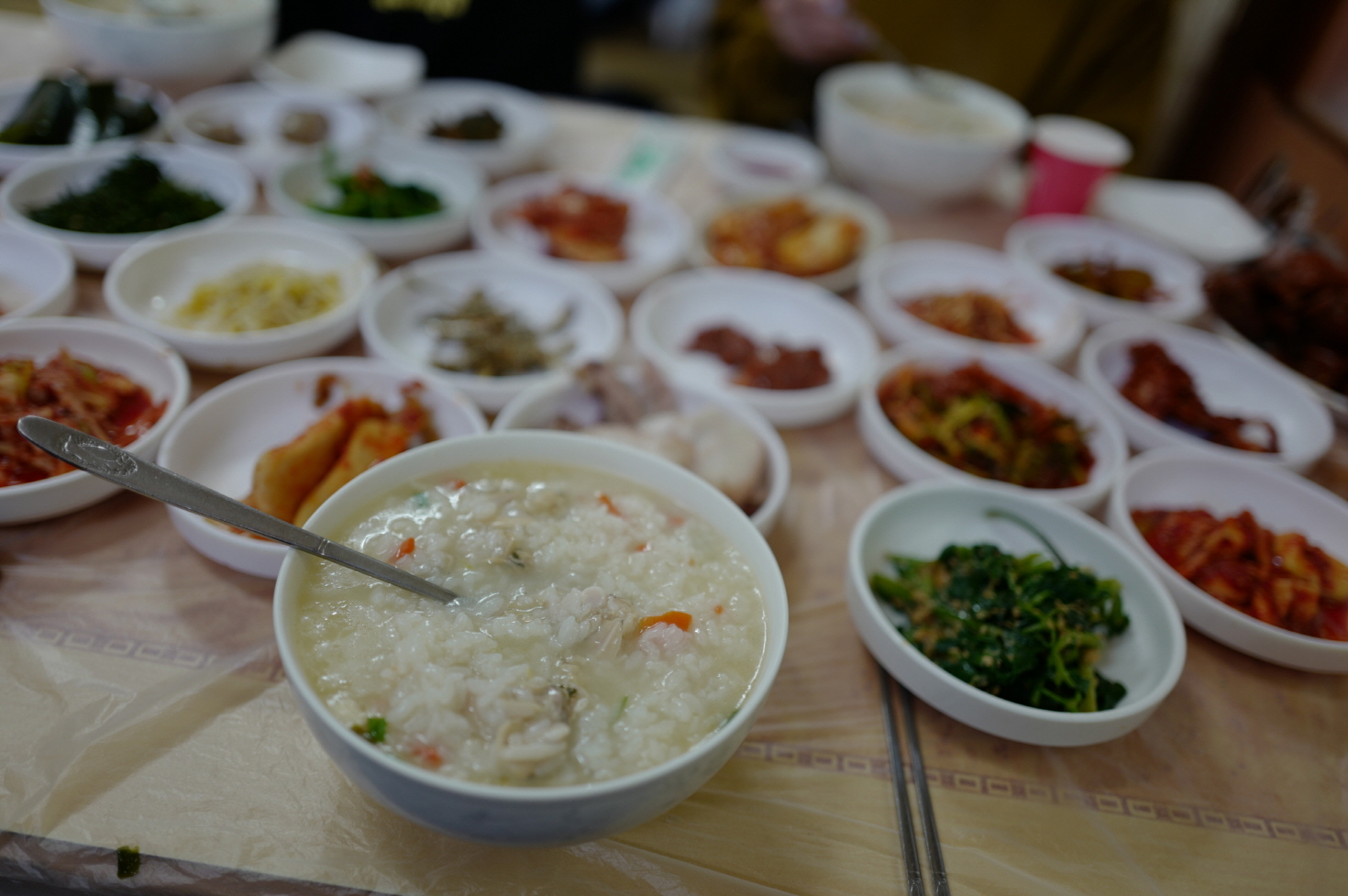 전라 전남 백수 한정식 백합죽 맛집 여행 한성식당 한식 정식