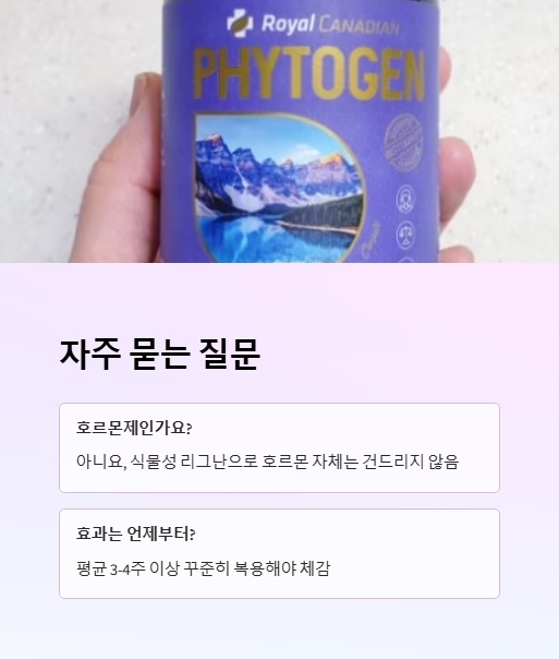 자주 묻는 질문