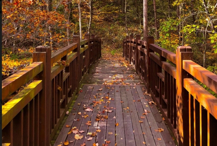 계방산 오토캠핑장