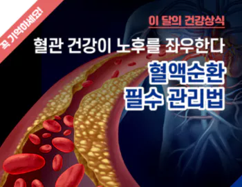 혈관-건강