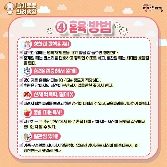 반려견 강아지의 행동 강박장애 어떤 행동이며 어떤 의미일까