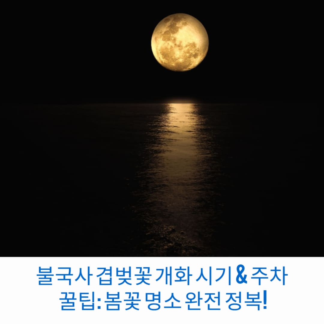 불국사-겹벚꽃-개화-시기-주차-꿀팁-봄꽃-명소-완전-정복-썸네일