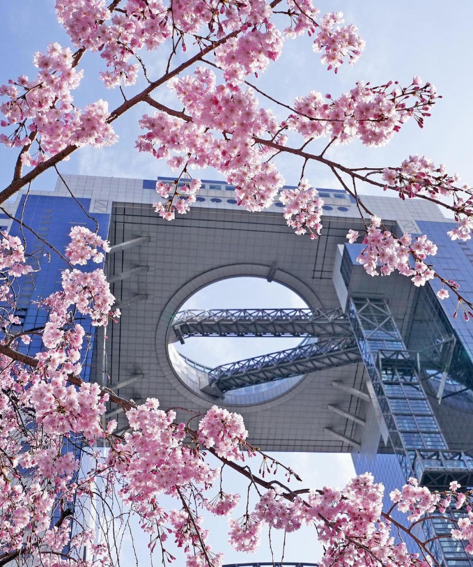 우메다스카이빌딩