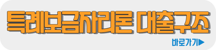 특례보금자리론