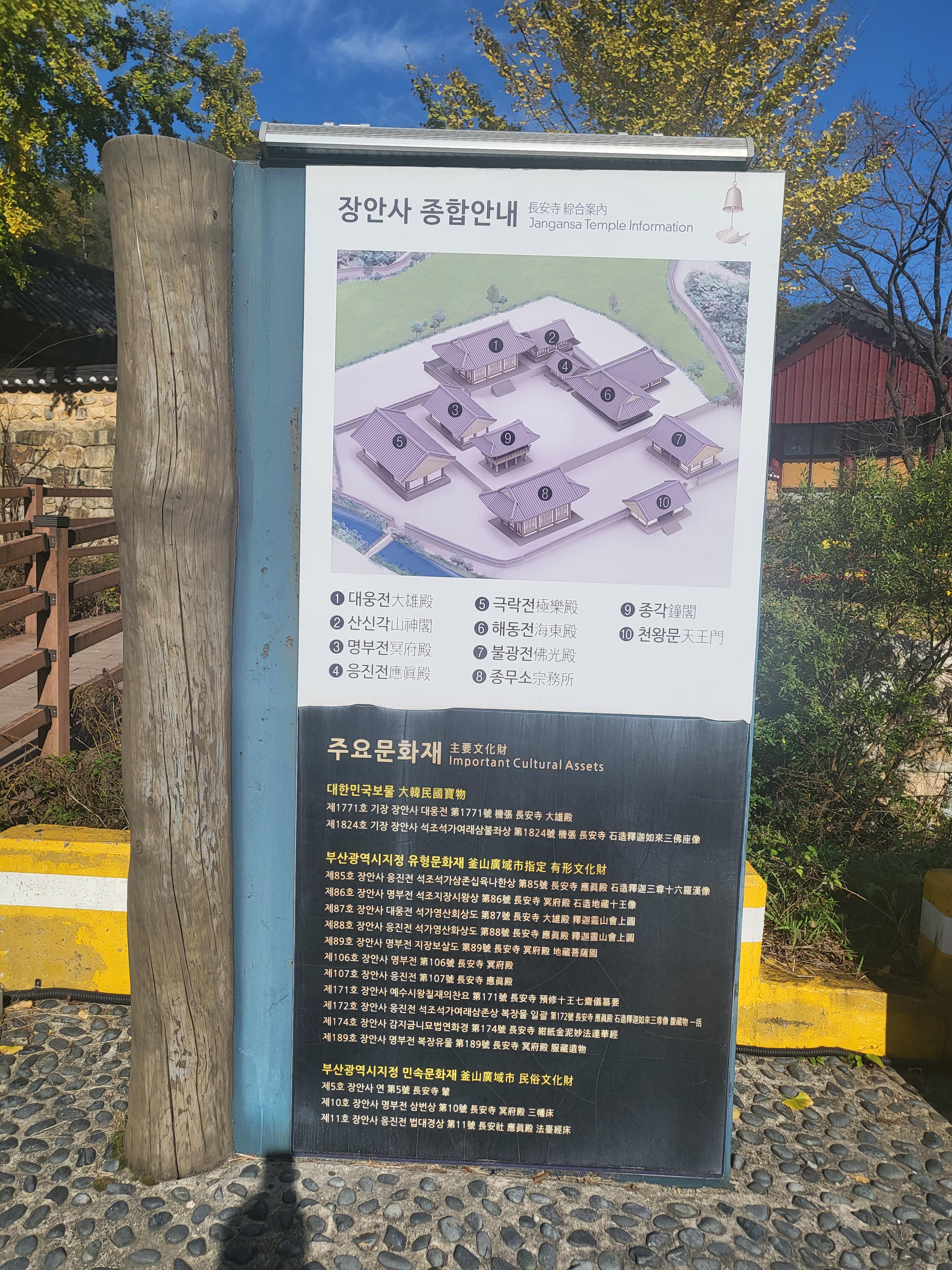 국화 향기 가득한 부산 기장 장안사 제 7회 기장 국화분재전시회가 열렸습니다.