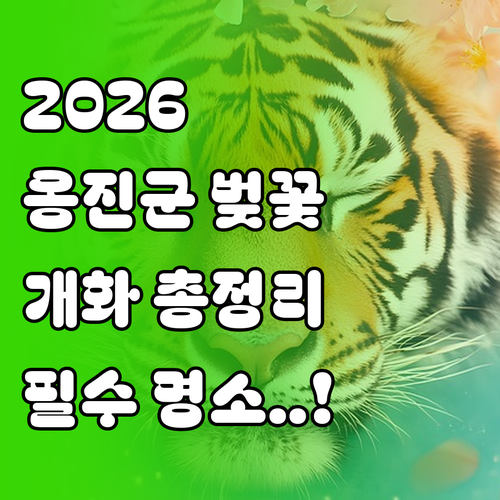 2026 옹진군 벚꽃 개화 시기 명소..