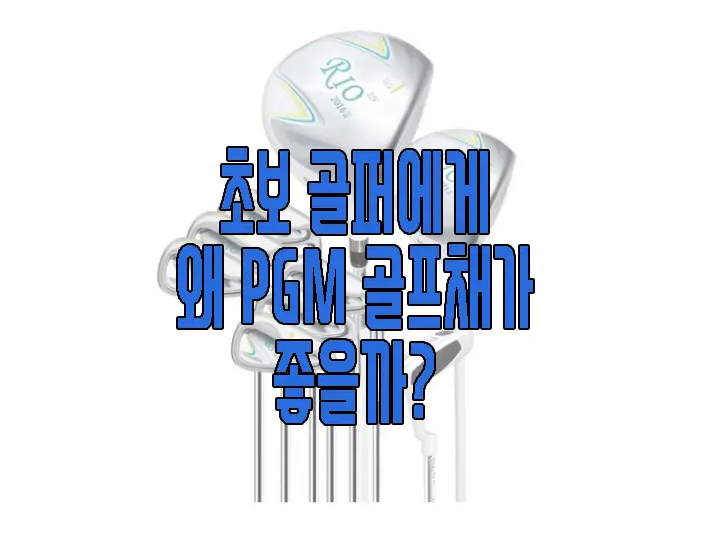 PGM 골프채에 관한 글 보러 가기 링크 사진