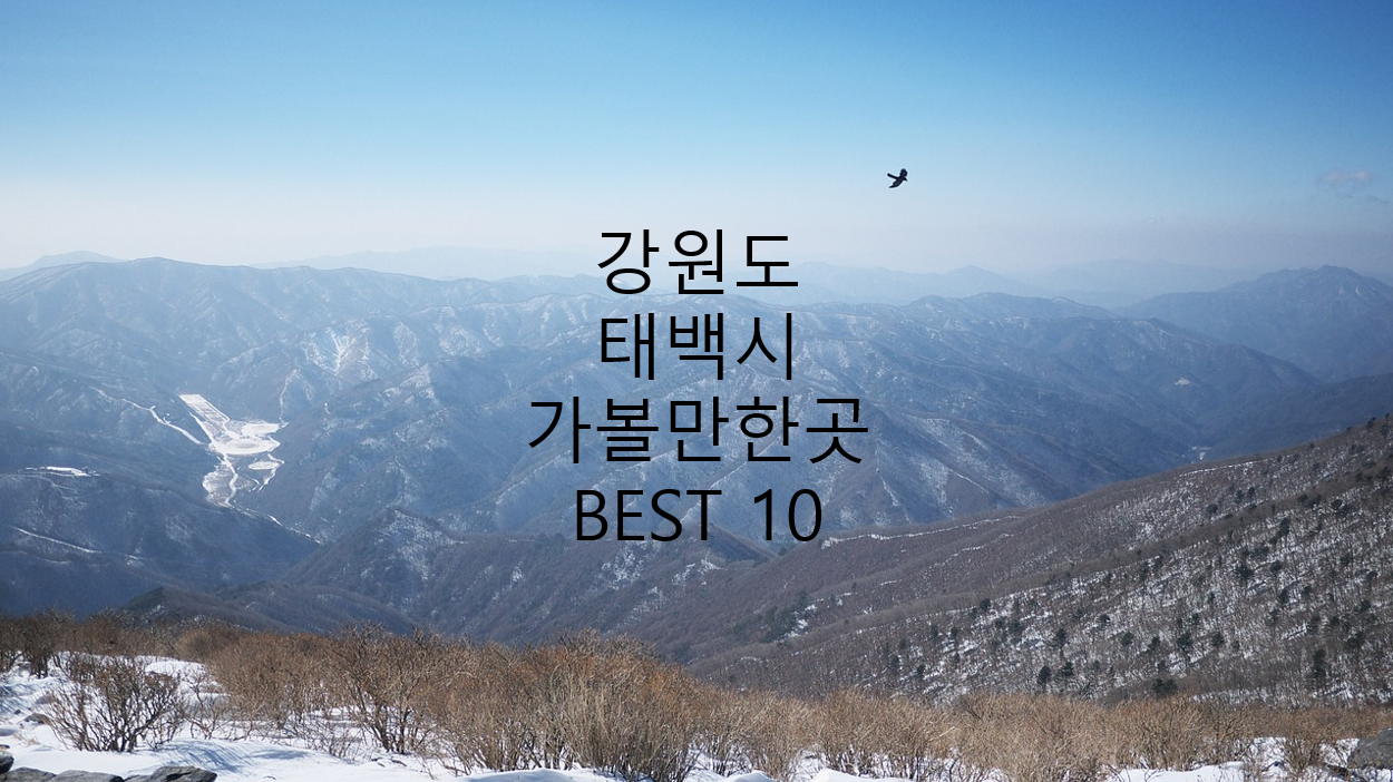 강원도 태백시 태백산맥 사진