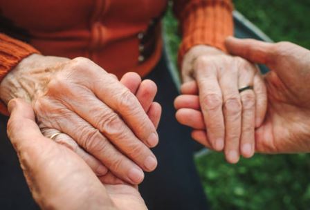 기초연금 수급 조건, 2025년 변경사항까지 완벽 정리!