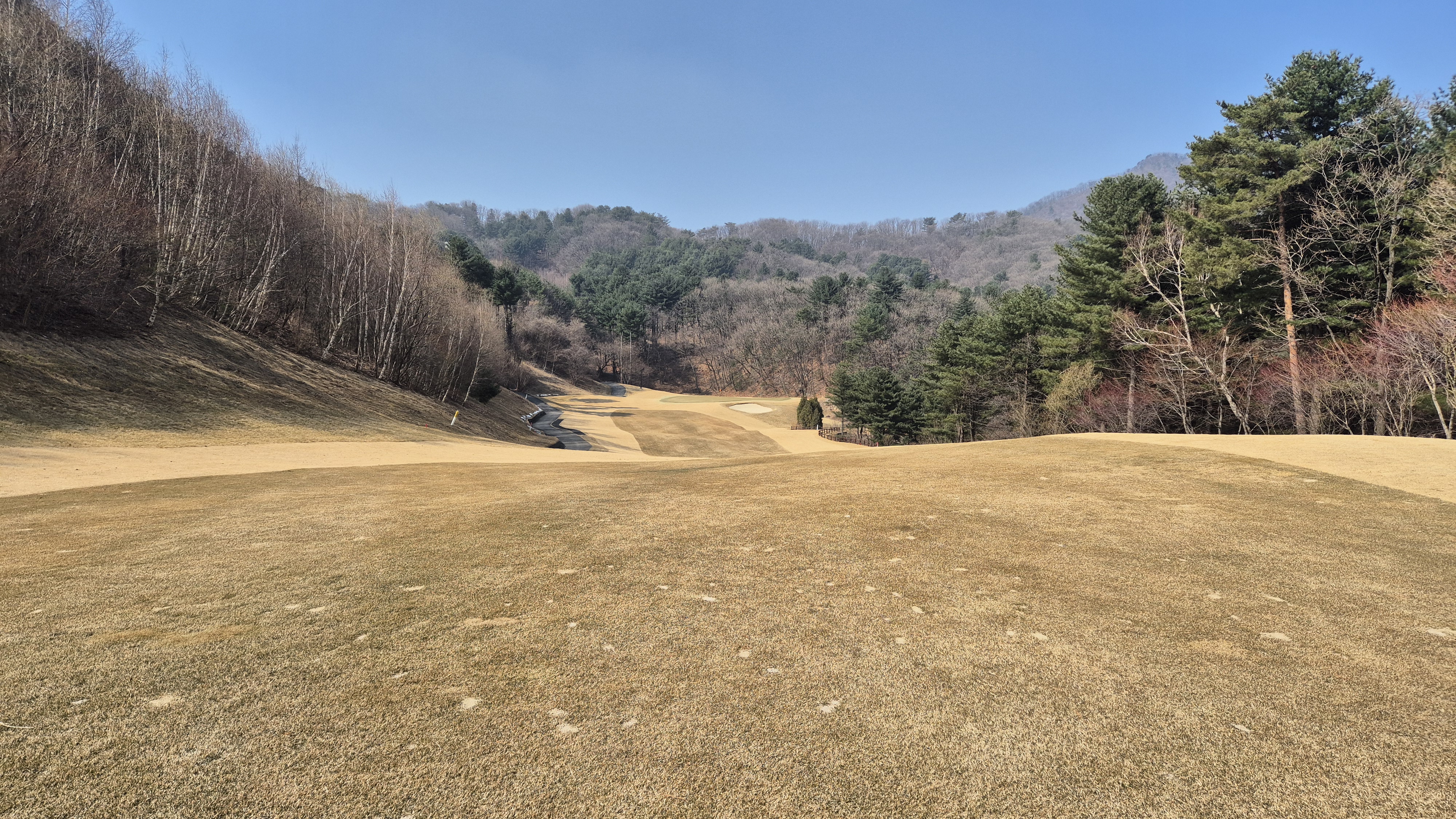 아난티코드gc 잣나무-느티나무 코스 사진 및 공략 정보