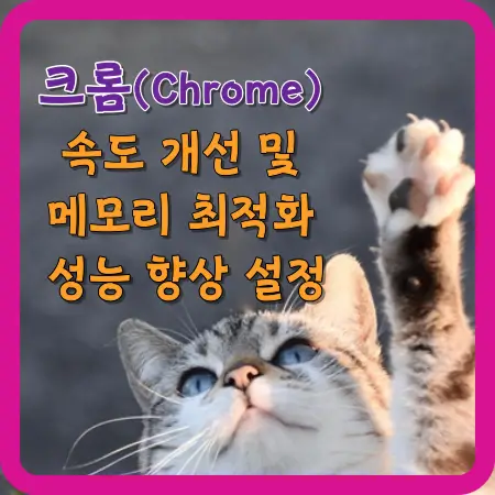크롬-속도-개선-및-메모리-최적화-성능-향상-설정