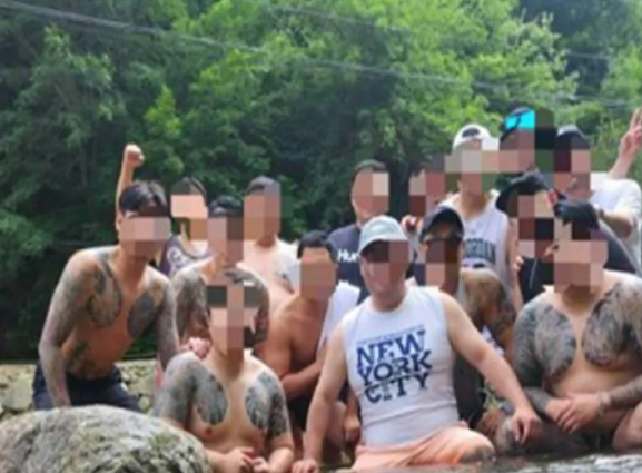 진성파란 어떤 조직인가?