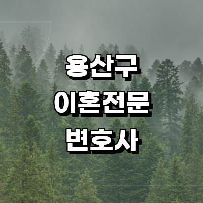 서울 용산구 이혼 변호사