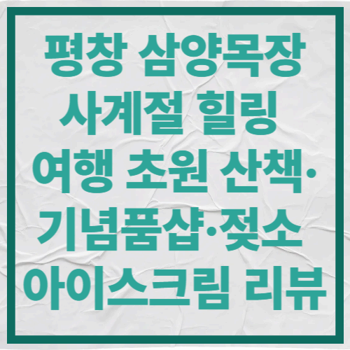 평창 삼양목장, 사계절 힐링 여행｜초원 산책&middot;기념품샵&middot;젖소 아이스크림 리뷰