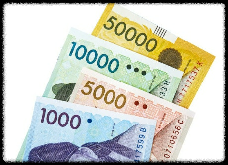 2025 종합소득세 프리랜서와 사업자의 차이, 헷갈린다면 필독!