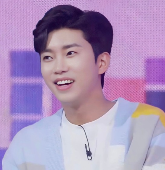 임영웅 프로필 예능 가수트로트 콘서트 삼시세끼 