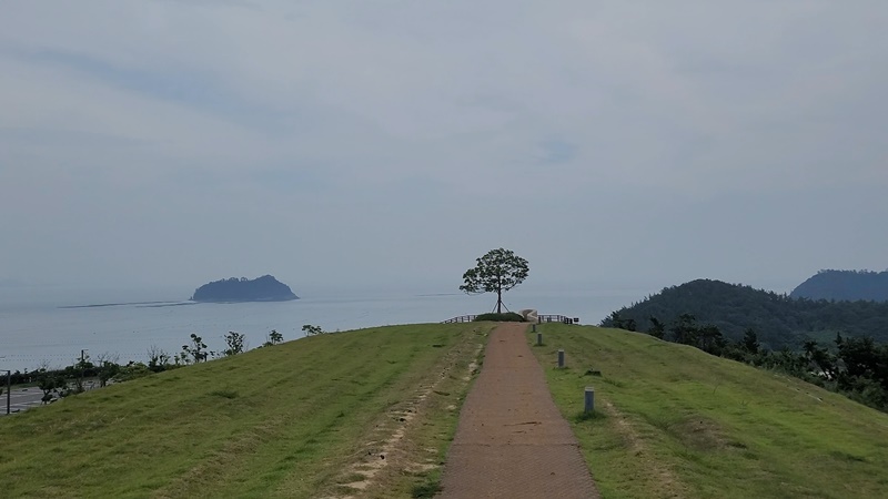 쏠비치 진도 라벤더 가든3