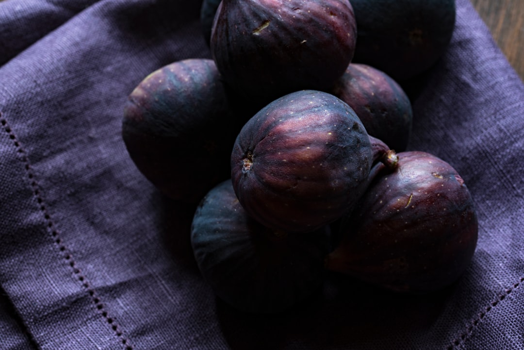 Fig.