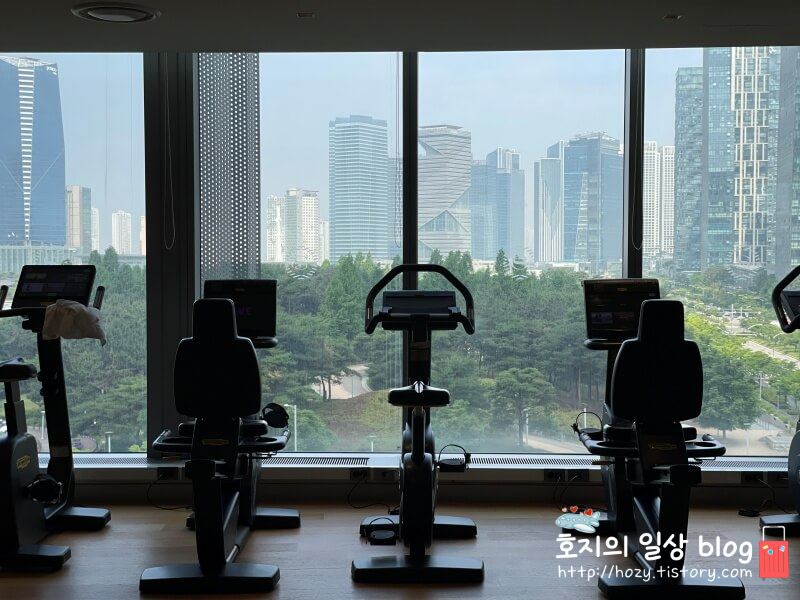 송도 쉐라톤 헬스장 뷰