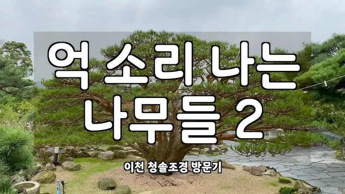 이천 가볼만한곳 맛집 추천 카페 실내 관광 명소_8