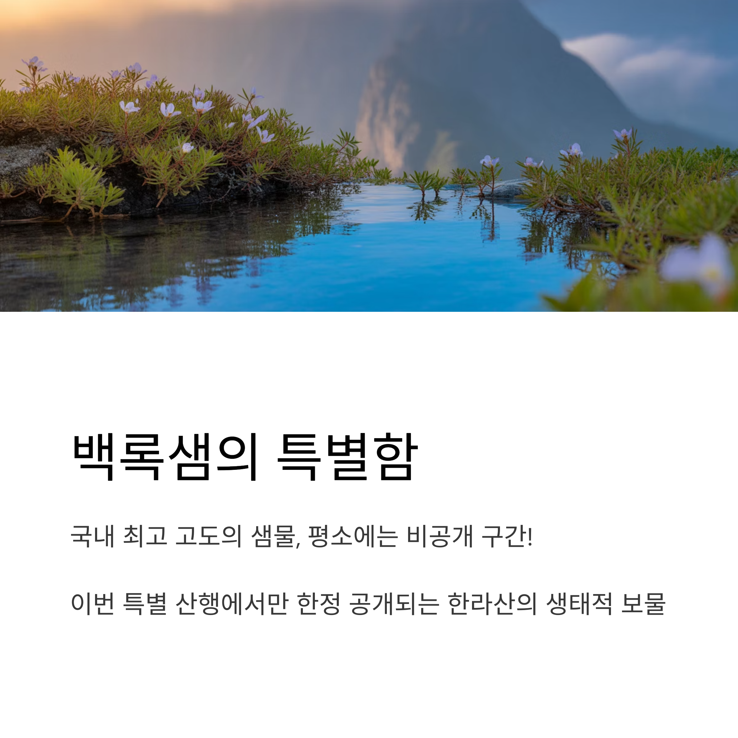 백록샘