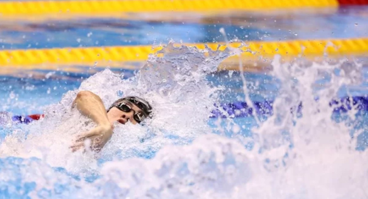 세계수영선수권대회 결선 진출