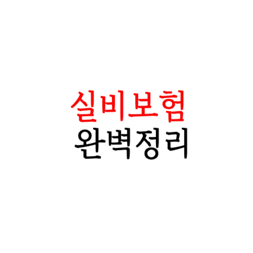 실비보험