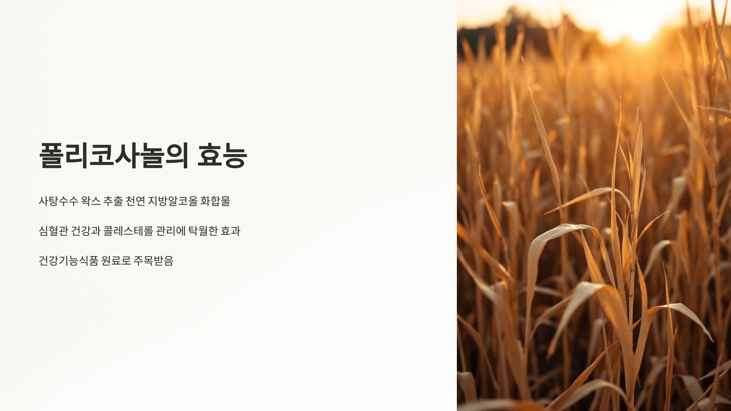 폴리코사놀과 관련된 사진입니다.