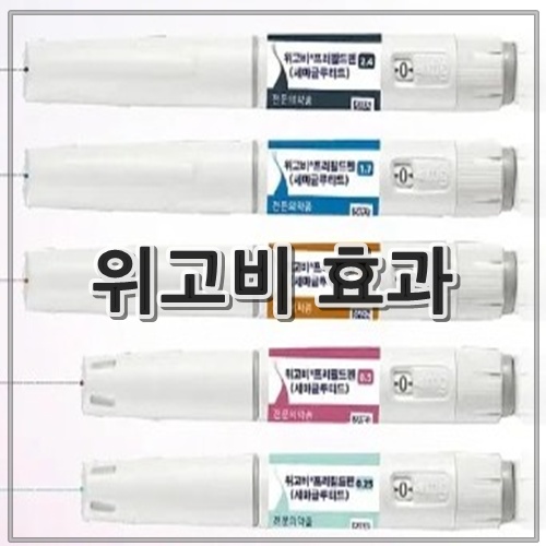 위고비 효과