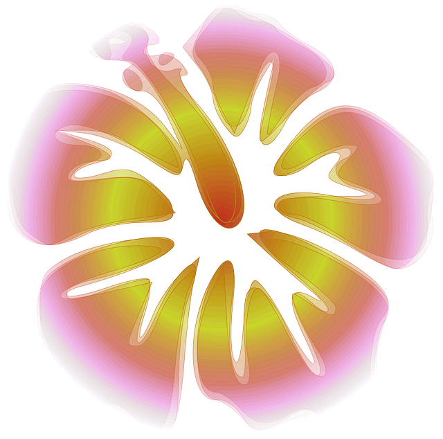 한국어 방언 이해하기: 지역별 특징과 표현