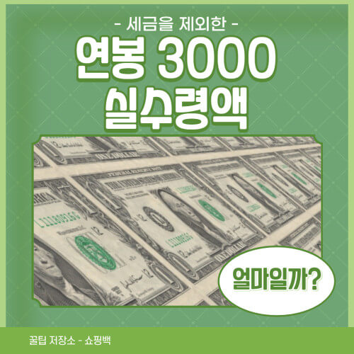 연봉 3000 실수령액 얼마일까?