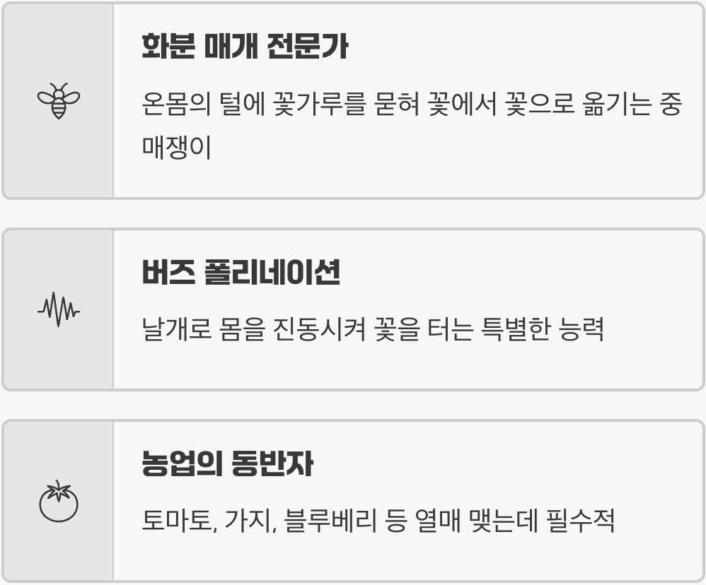 꽃들의 가장 중요한 중매쟁이