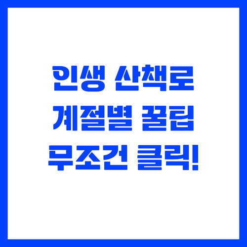 천천히 걸을수록 깊어지는 국내 산책 ..