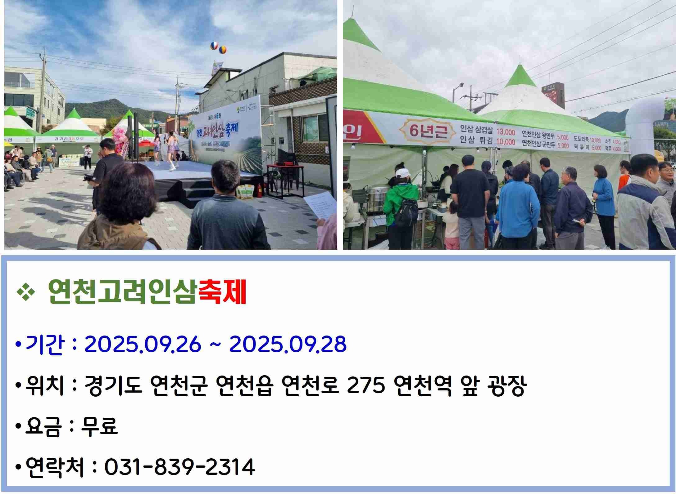 연천고려인삼축제