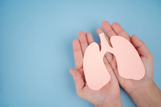 폐절제술(Lung Resection)