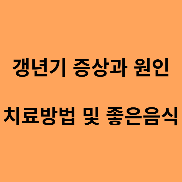 갱년기