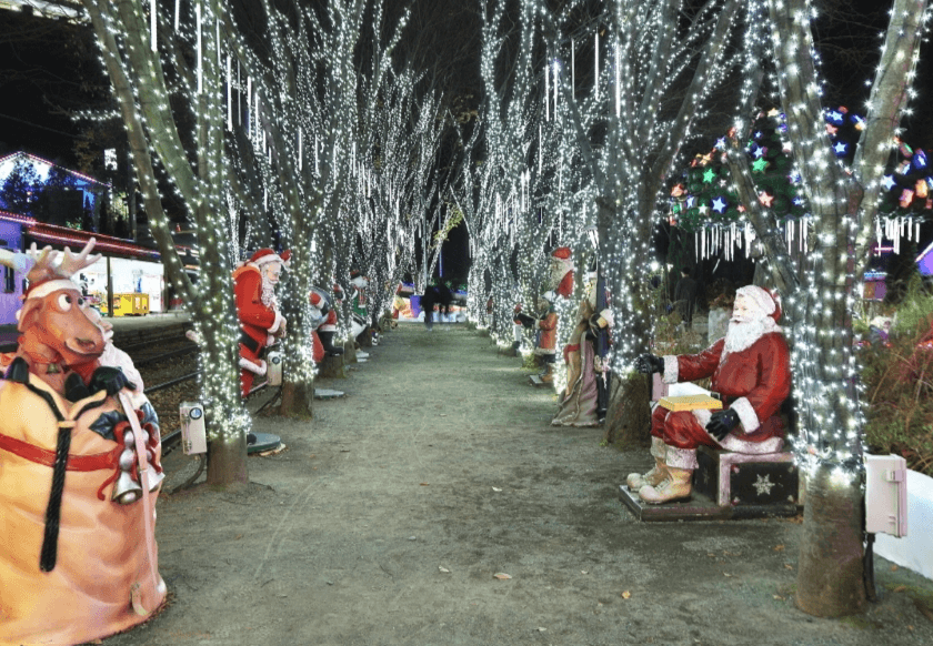 청도 프로방스 크리스마스 산타마을 빛축제 