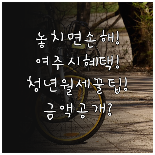 2026 여주시 청년월세 지원 총정리..