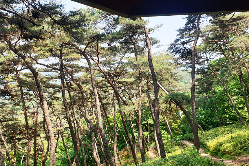 마곡사 백범명상길